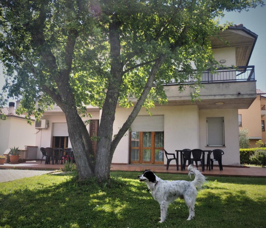 Villa Casa Del Carmine à Anghiari Extérieur photo